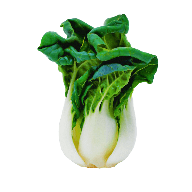 flying bok choi